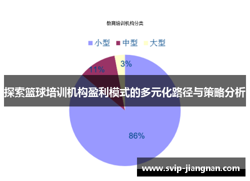 探索篮球培训机构盈利模式的多元化路径与策略分析